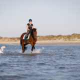 paarden-foto-pix-fotografie-zeeland-29